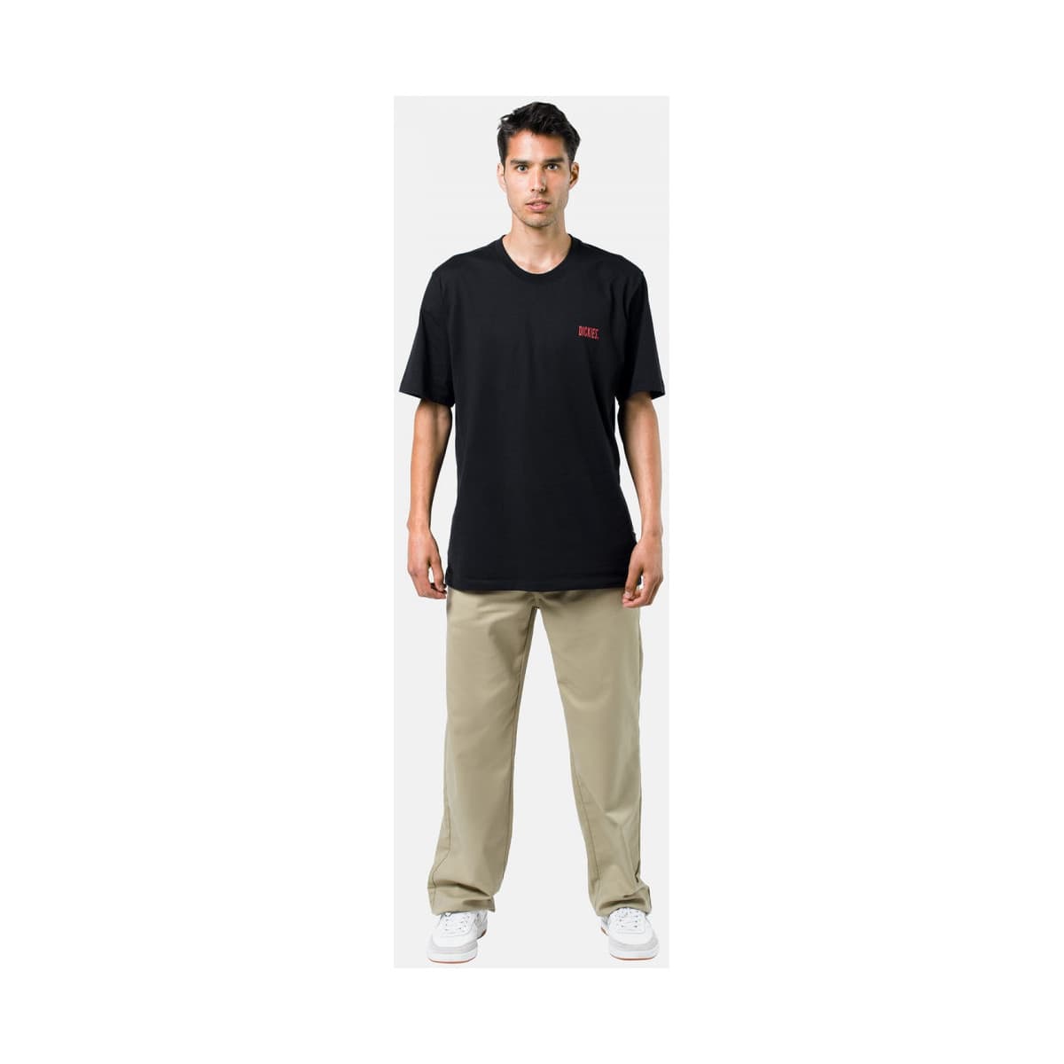 Men's Pants Dickies Beige