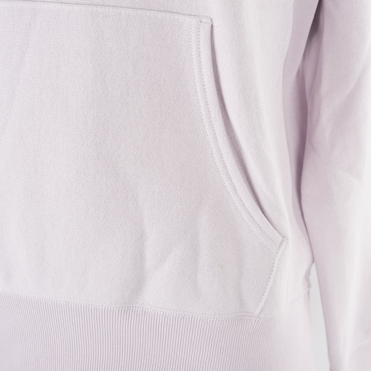 Men's Sweatshirts Champion Purple