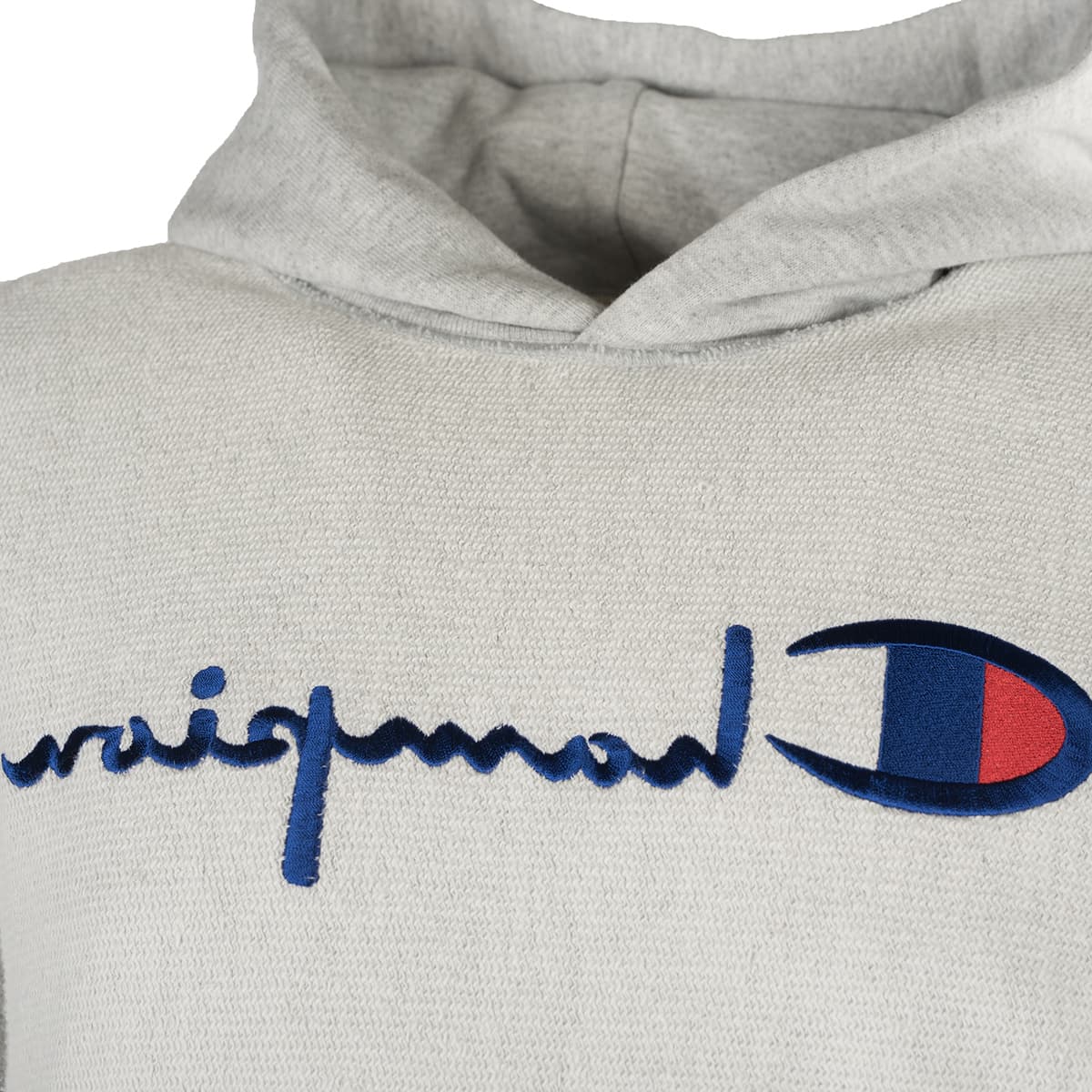 Men's Sweatshirts Champion Gray