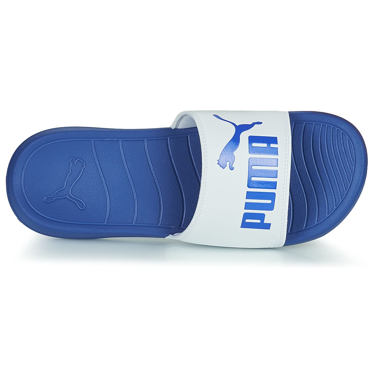 Men's Flip Flops Puma Blue