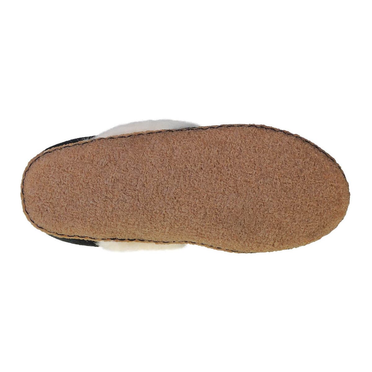 Women's House Slippers Sorel Black