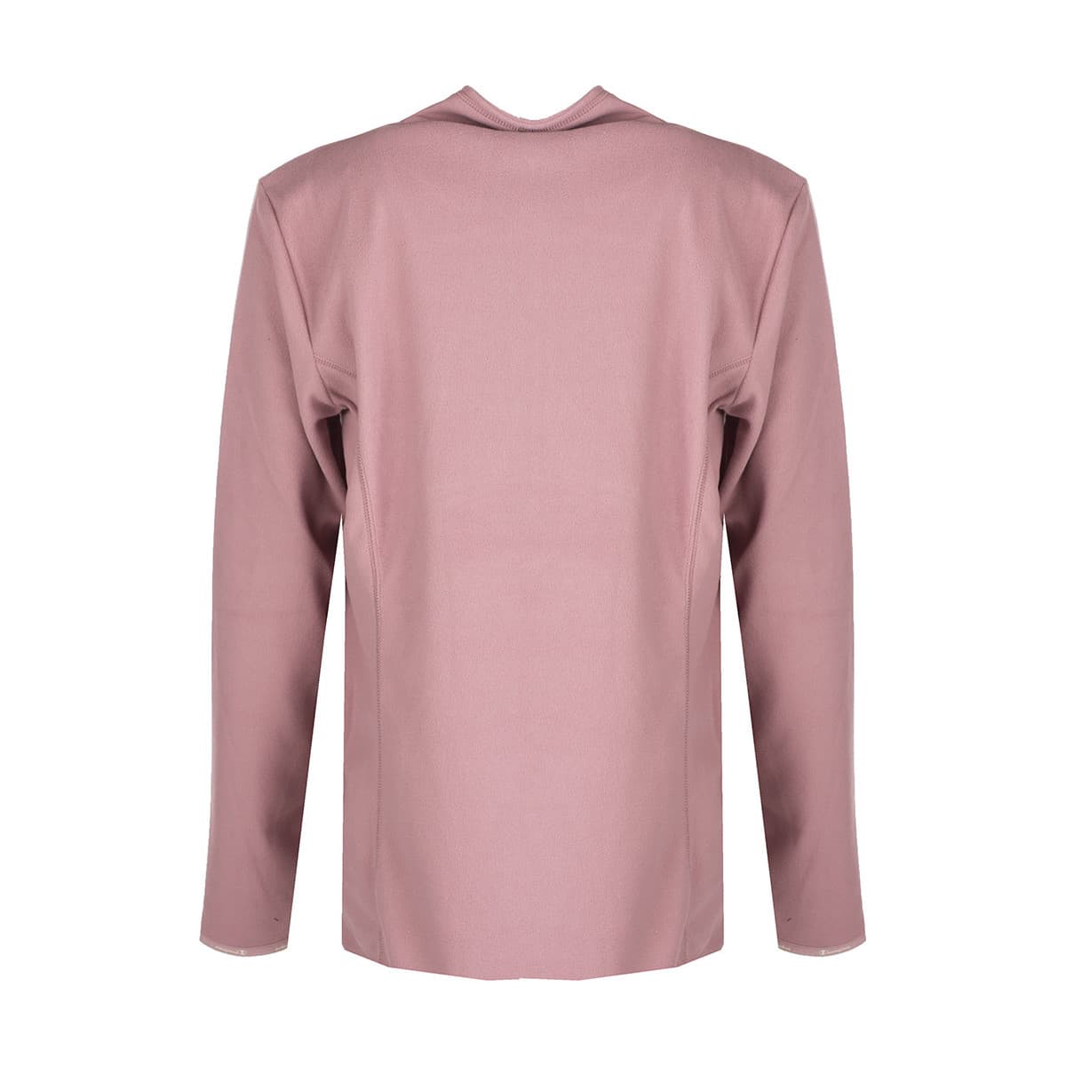 Women's Sweatshirts Champion Pink
