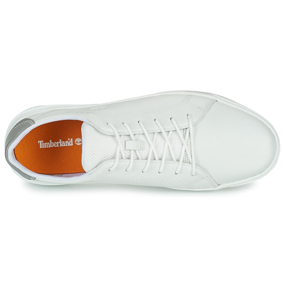 Men's Sneakers Timberland White