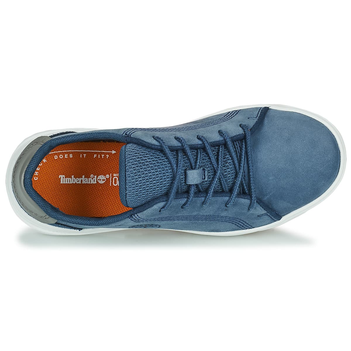 Boys' Sneakers Timberland Blue