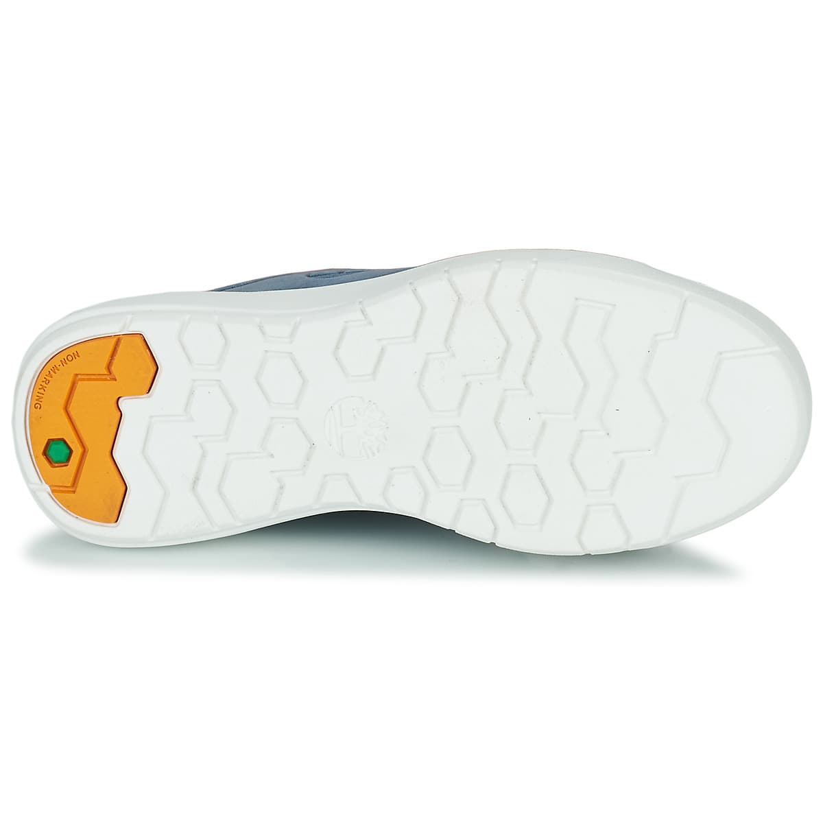 Boys' Sneakers Timberland Blue