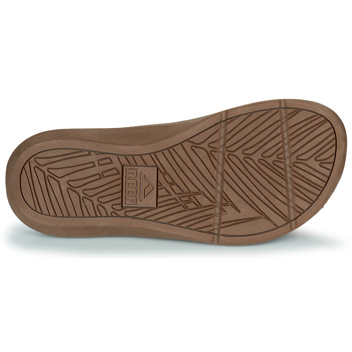 Men's Flip Flops Reef Brown