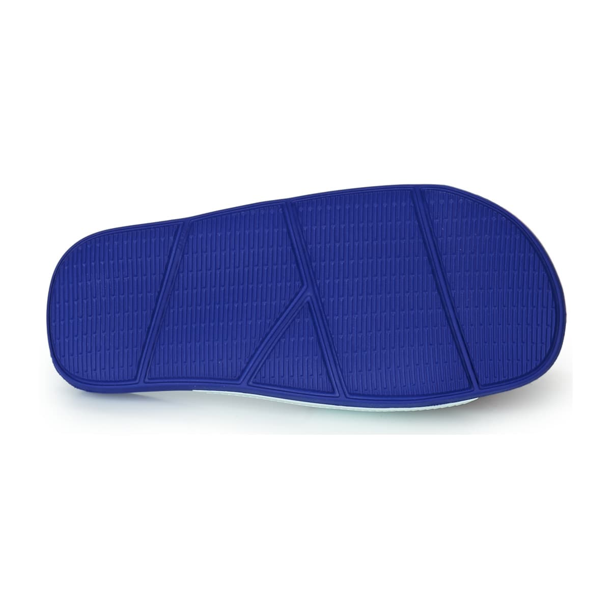 Women's Flip Flops Havaianas Blue