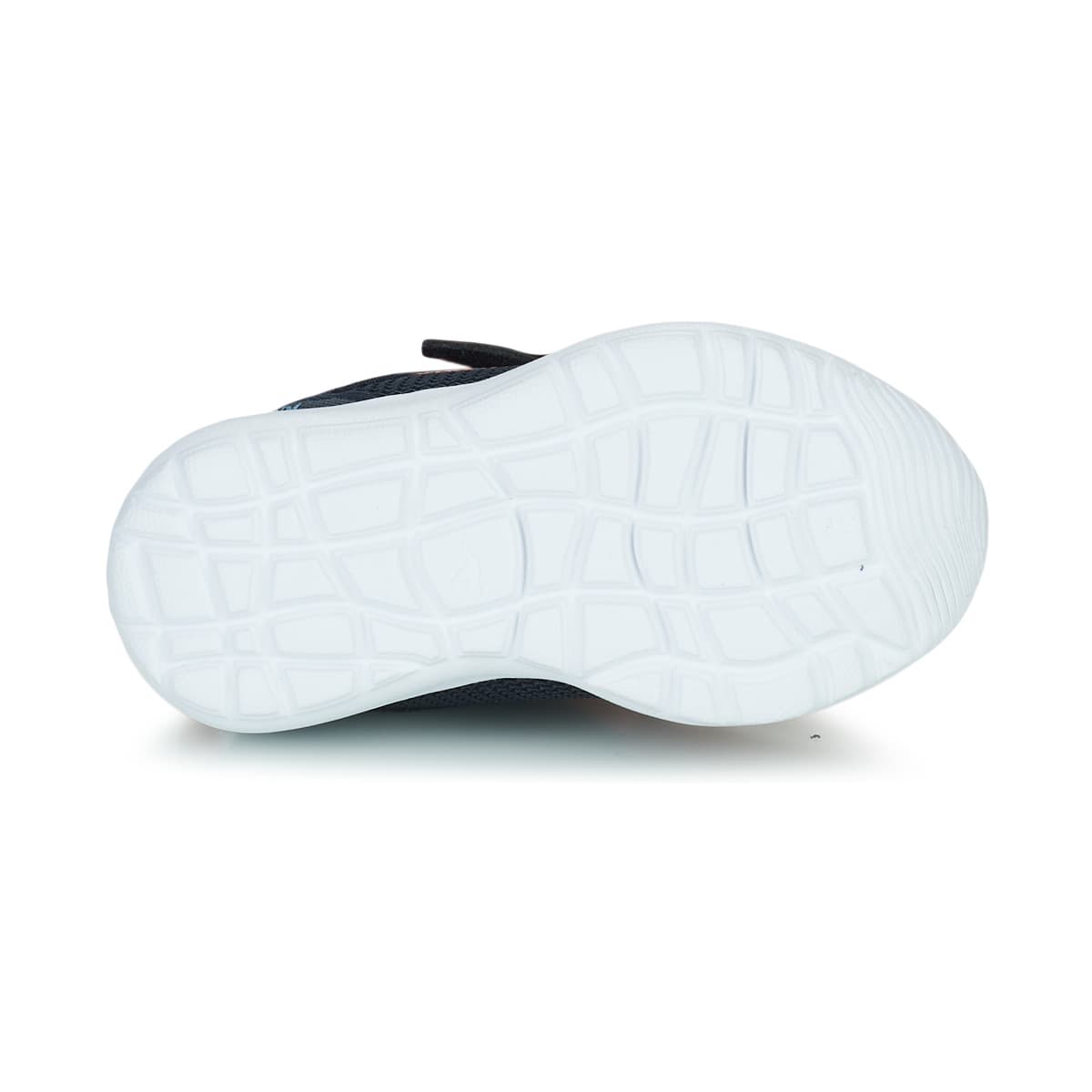 Boys' Sneakers Kangaroos Blue