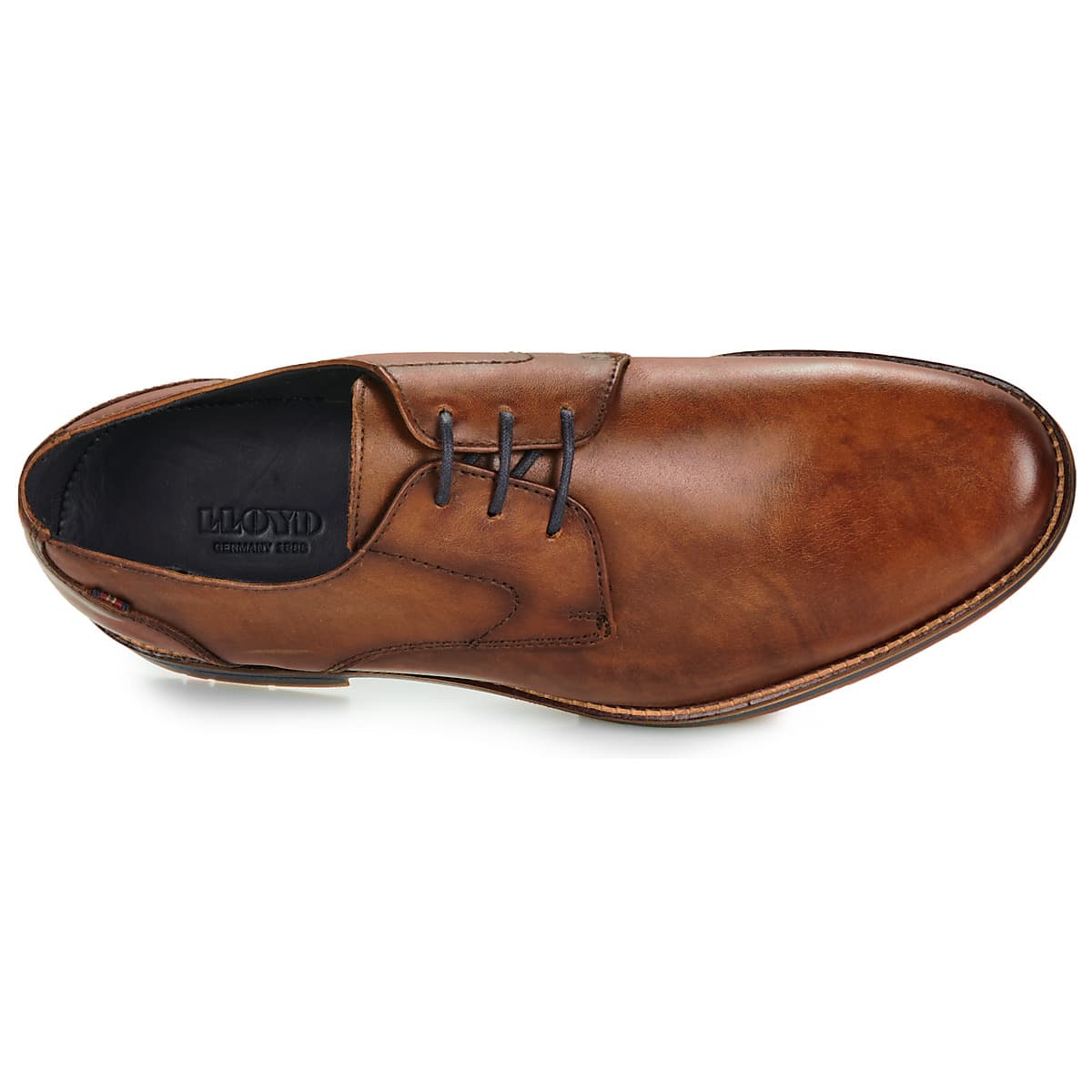 Men's Derby Shoes Lloyd Brown