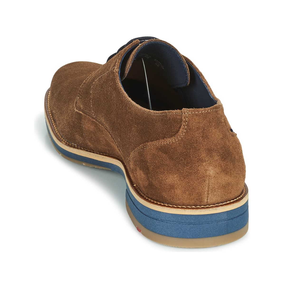 Men's Derby Shoes Lloyd Brown