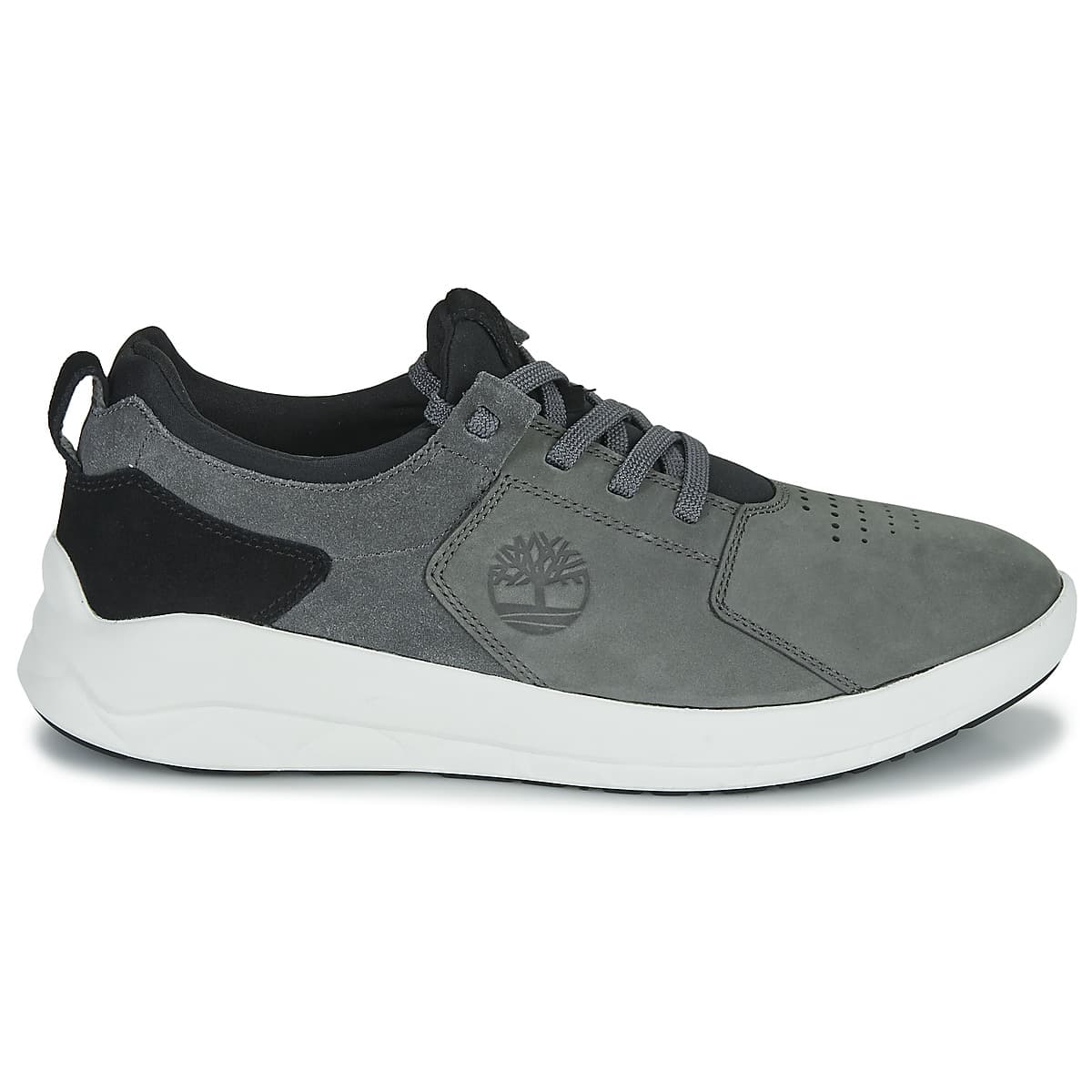 Men's Sneakers Timberland Gray