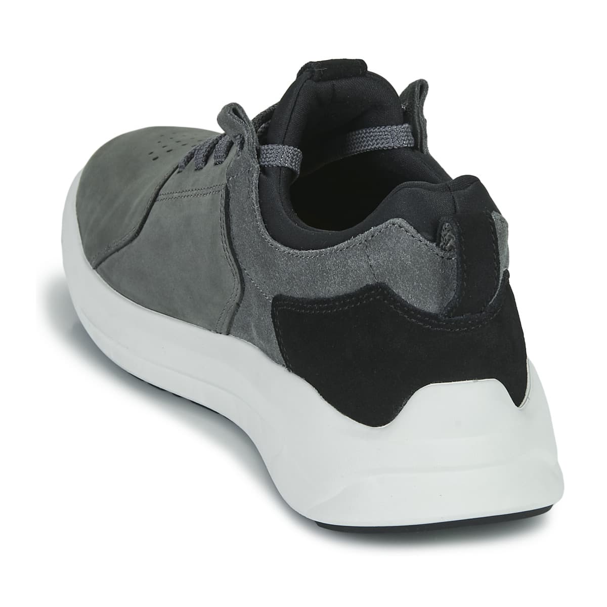 Men's Sneakers Timberland Gray