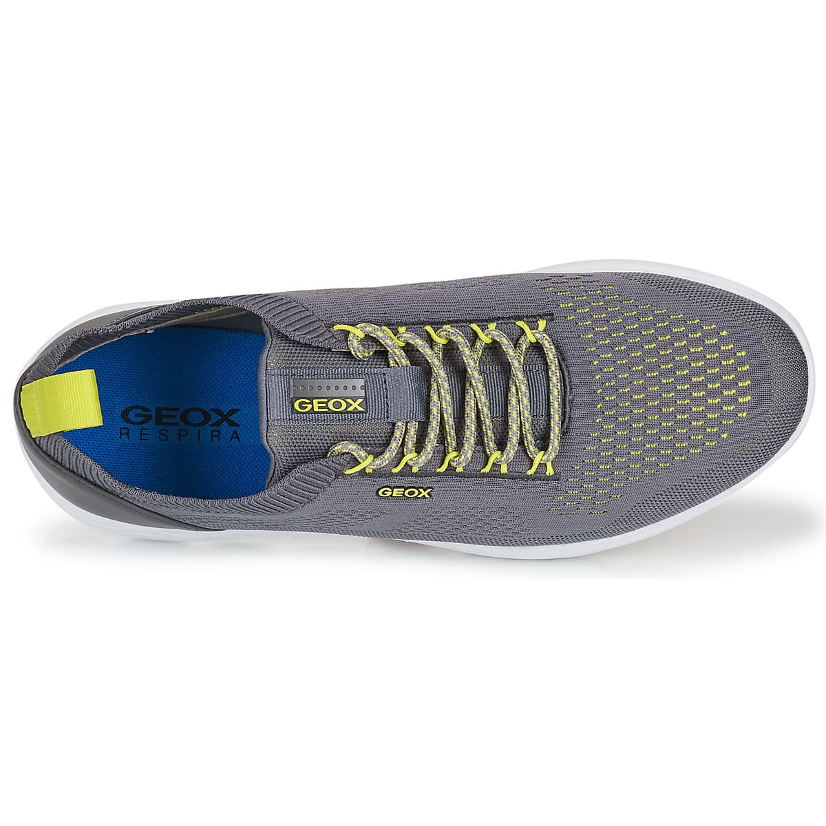 Men's Sneakers Geox Gray