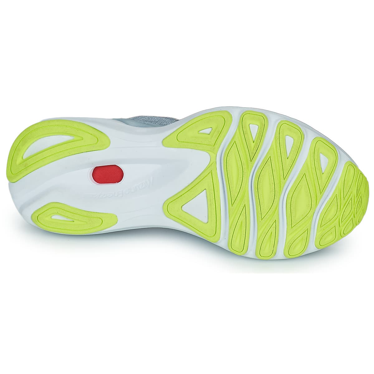 Women's Running Shoes Mizuno Gray