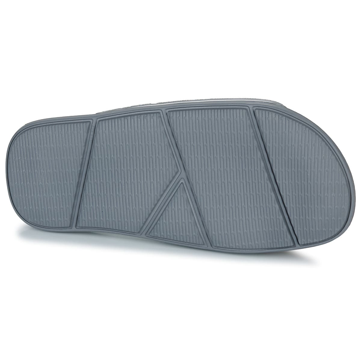 Women's Flip Flops Havaianas Gray