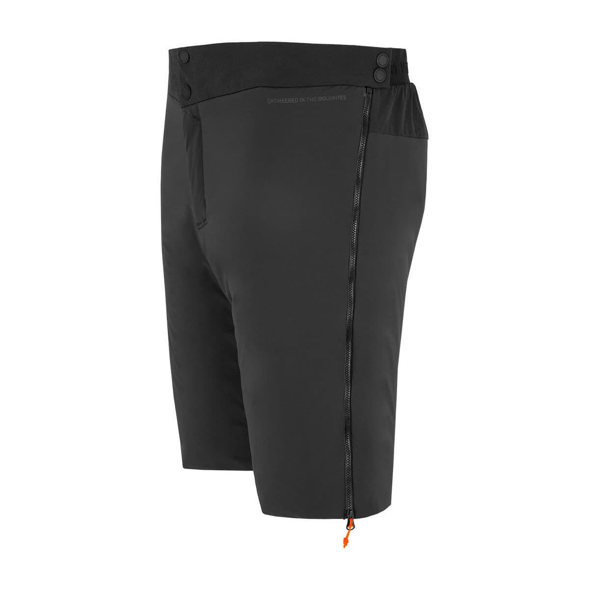 Men's Shorts Salewa Black