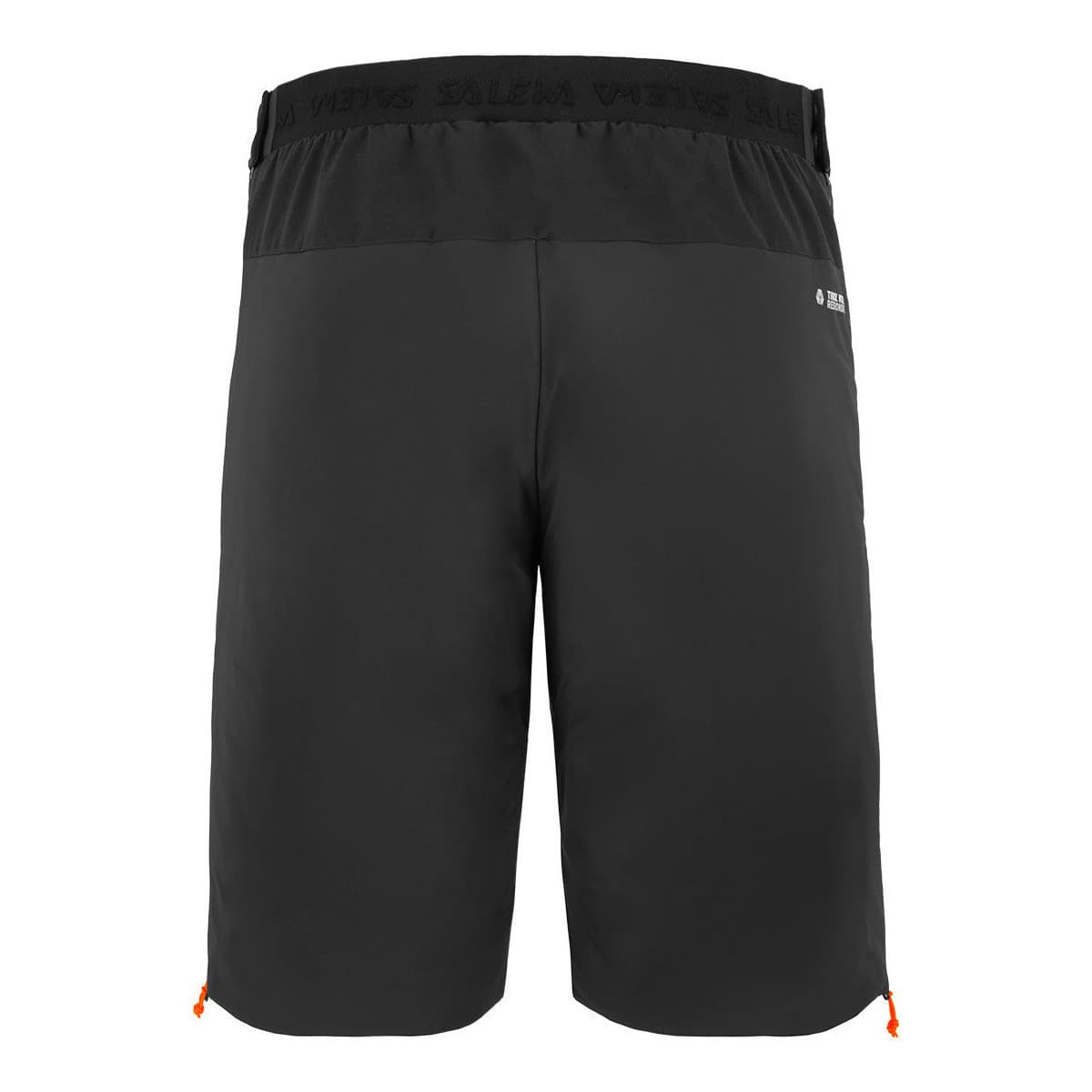 Men's Shorts Salewa Black