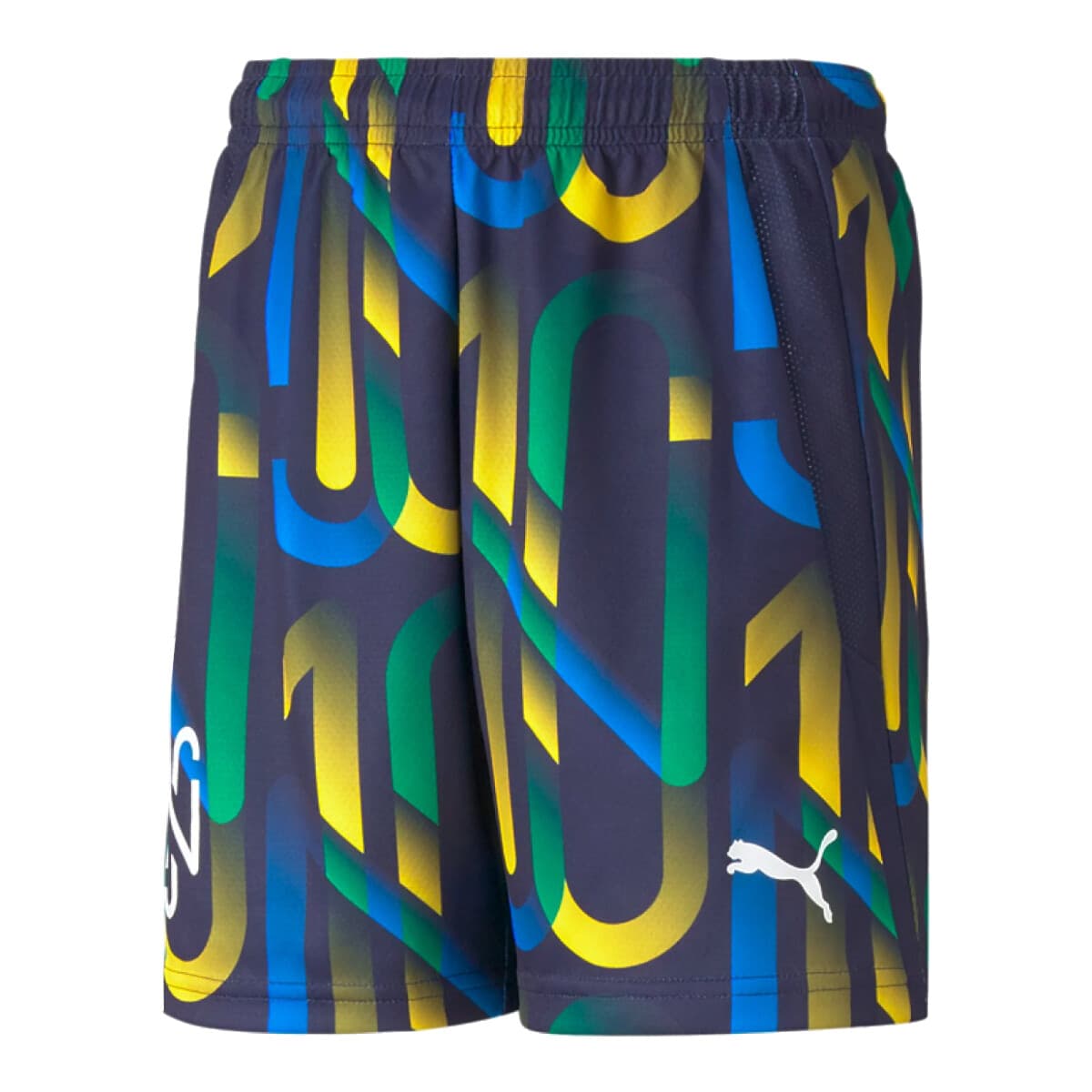 Boys' Pants Puma Multicolor