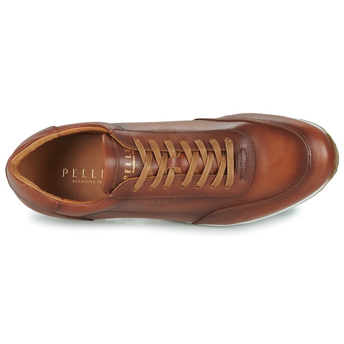 Men's Sneakers Pellet Brown