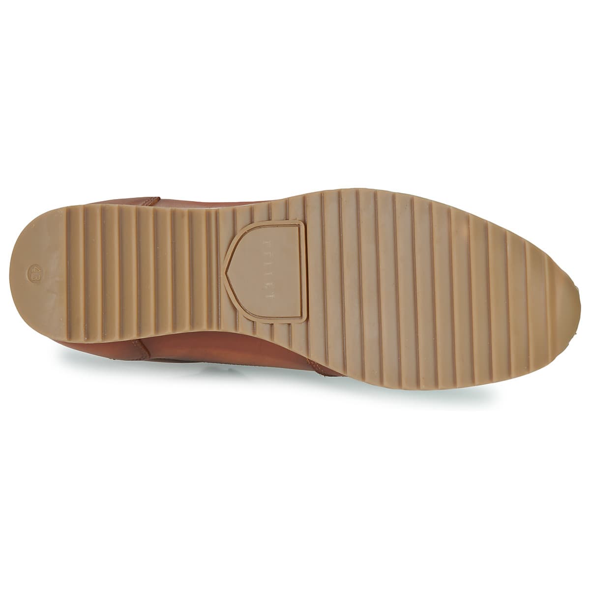 Men's Sneakers Pellet Brown