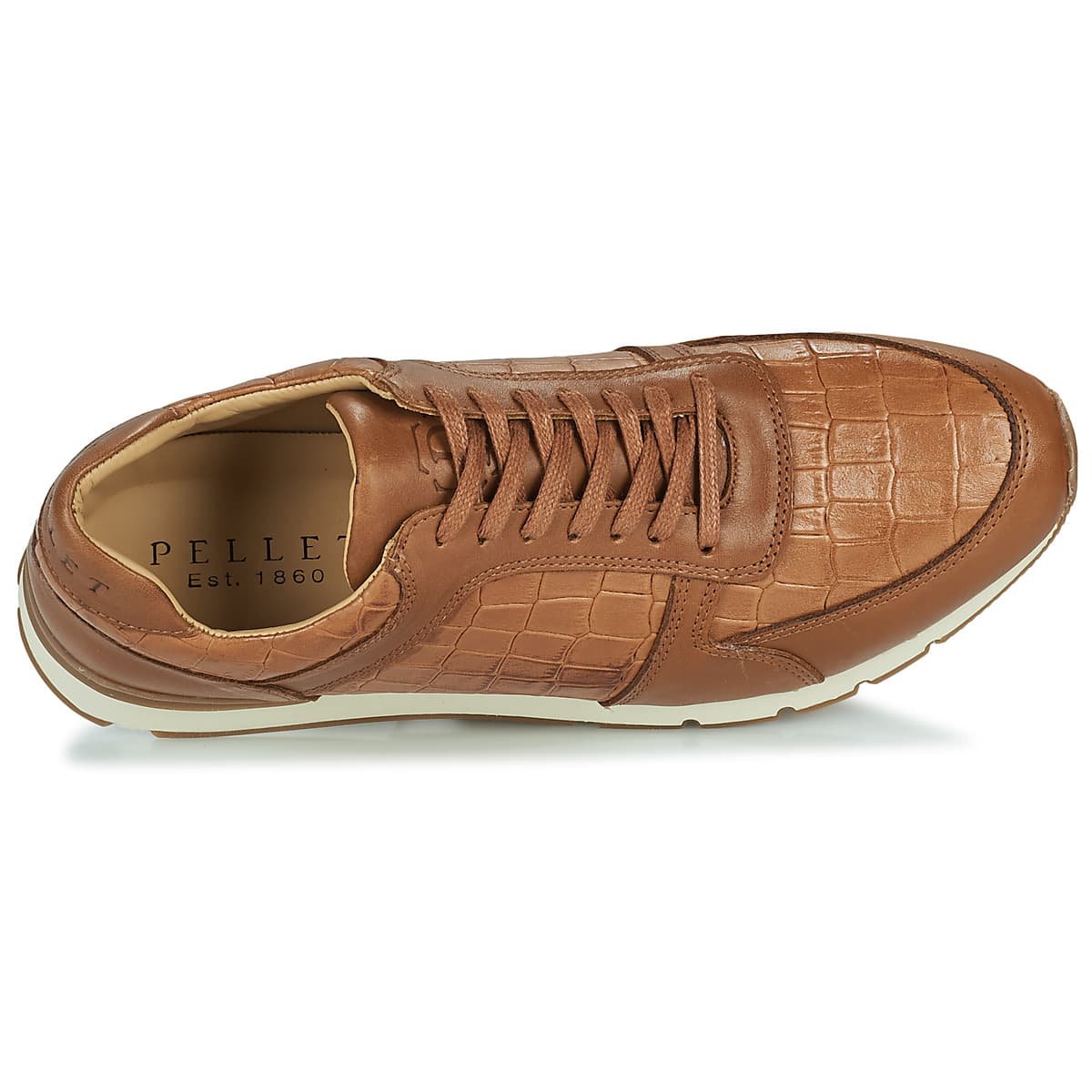 Men's Sneakers Pellet Brown