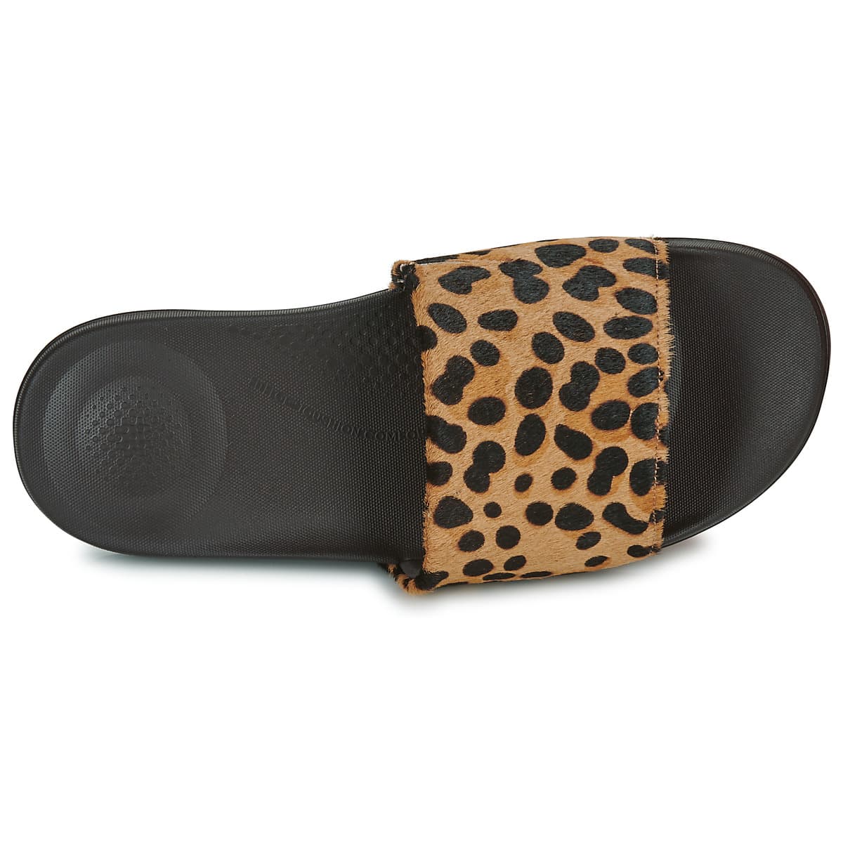 Women's Flip Flops FitFlop Black