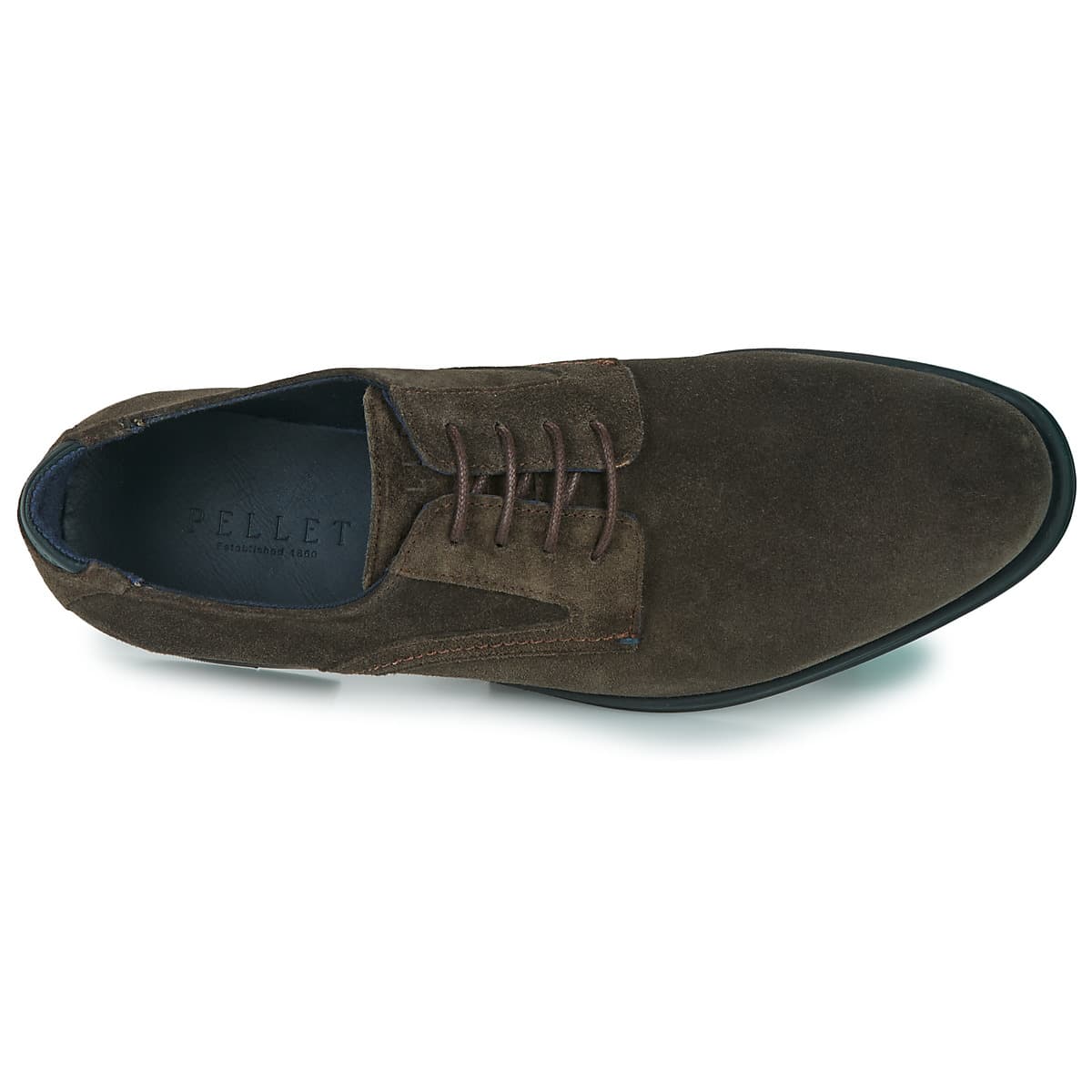Men's Derby Shoes Pellet Black