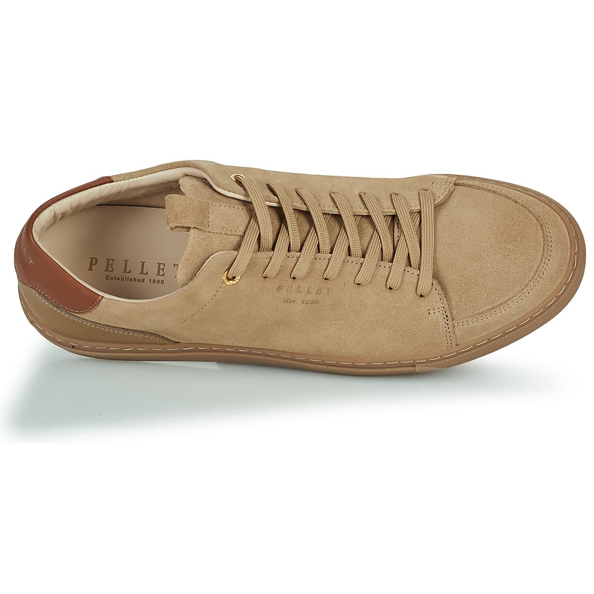 Men's Sneakers Pellet Brown