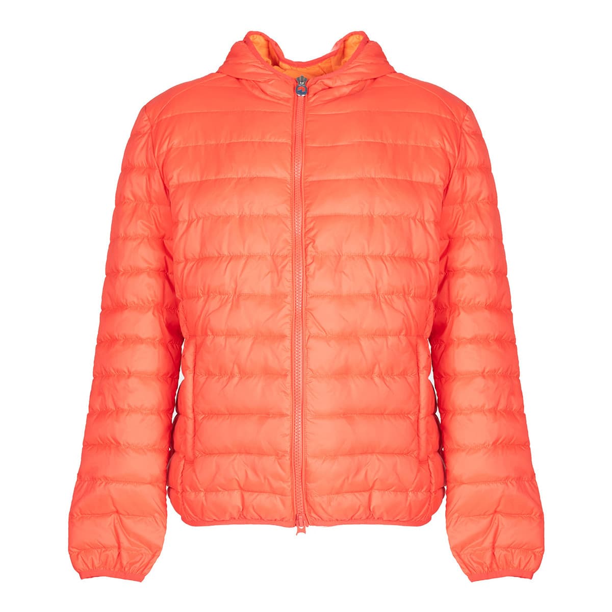 Men's Jackets Invicta Gray