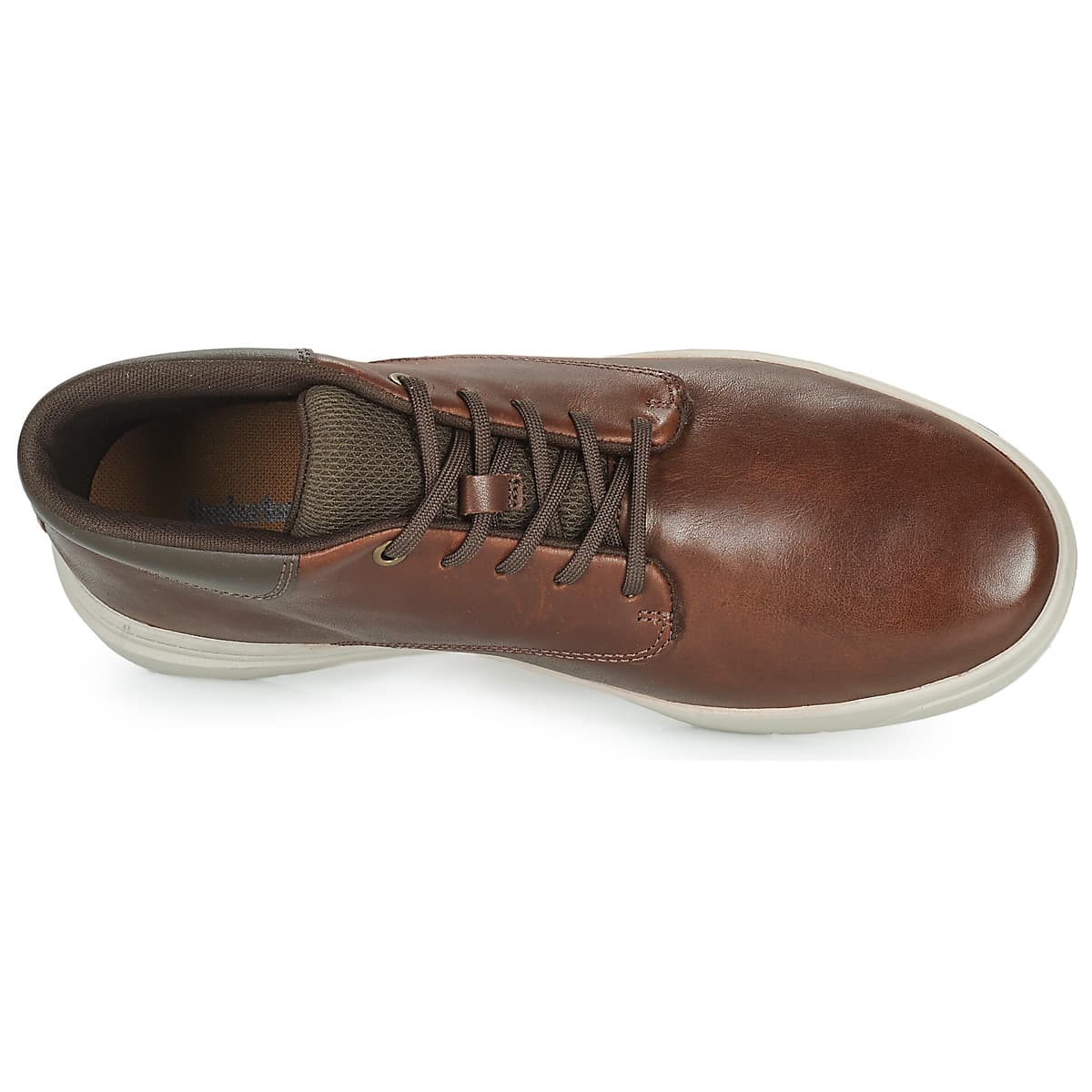 Men's Sneakers Timberland Brown