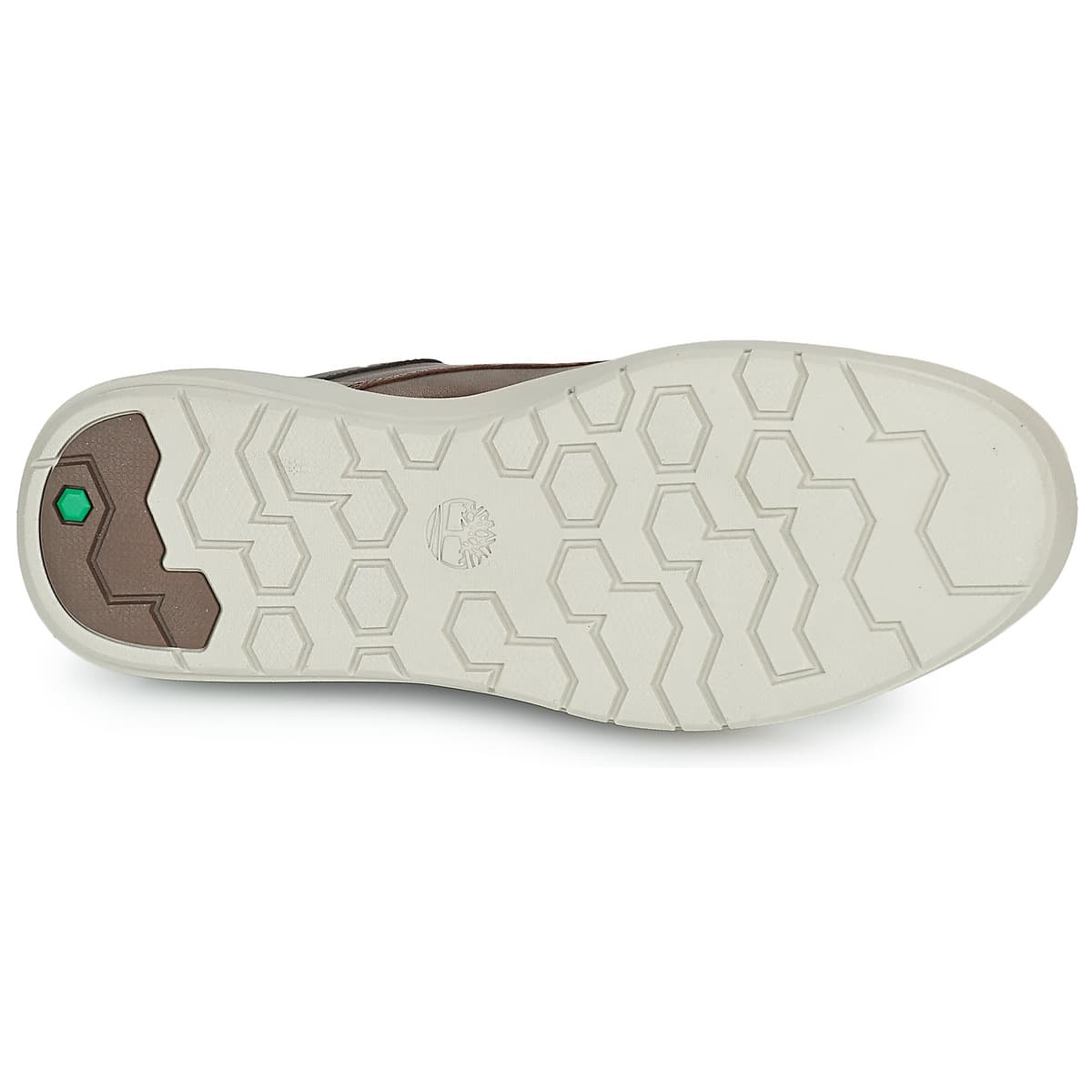 Men's Sneakers Timberland Brown