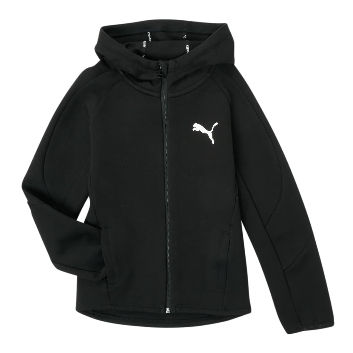 T-shirt με κουκούλα Puma EVOSTRIPE CORE FZ HOODIE