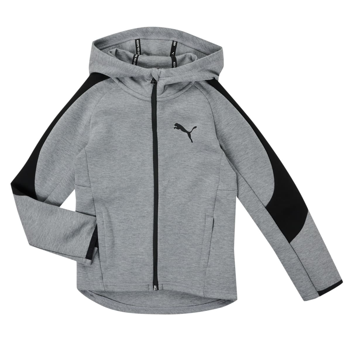 T-shirt με κουκούλα Puma EVOSTRIPE CORE FZ HOODIE