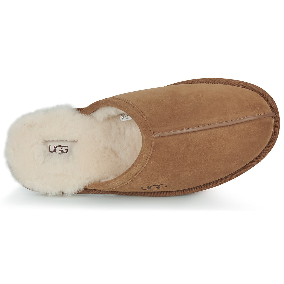 Men's House Slippers UGG Brown