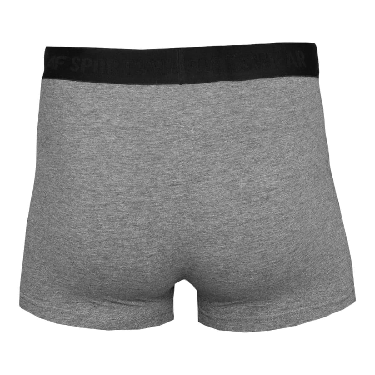 Men's Boxer Briefs 4F Gray