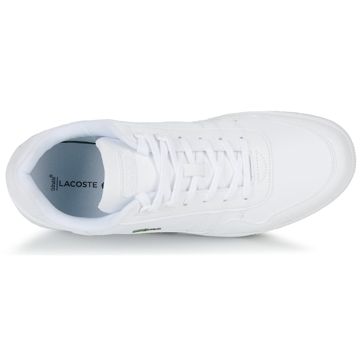 Men's Sneakers Lacoste White