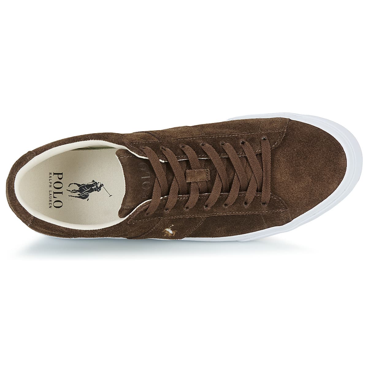 Men's Sneakers Polo Ralph Lauren Brown