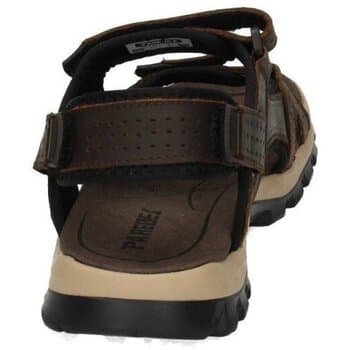 Men's Sandals Paredes Multicolor
