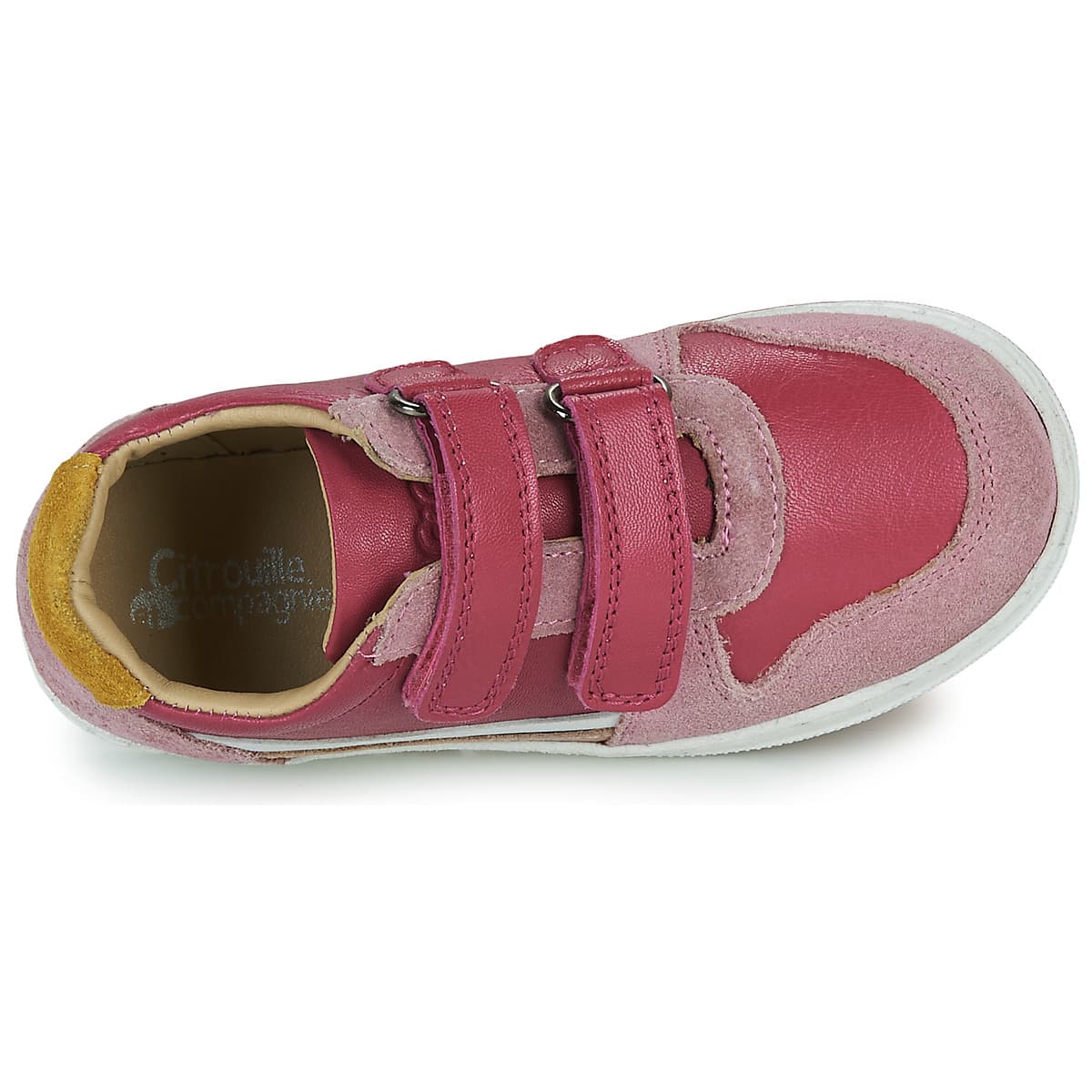 Girls' Sneakers Citrouille et Compagnie Purple