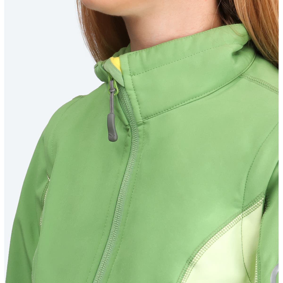 Women's Sweatshirts Salewa Green