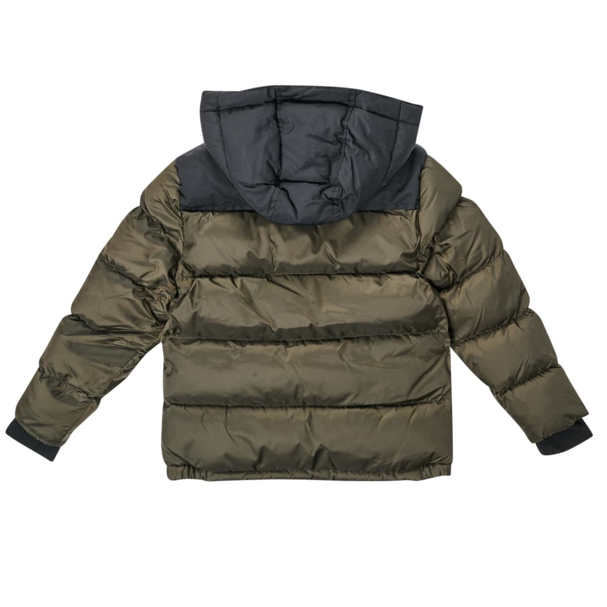 Boys' Jackets Schott Khaki