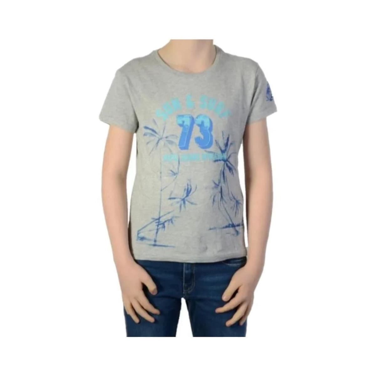 Boys' T-Shirts Pepe Jeans Gray