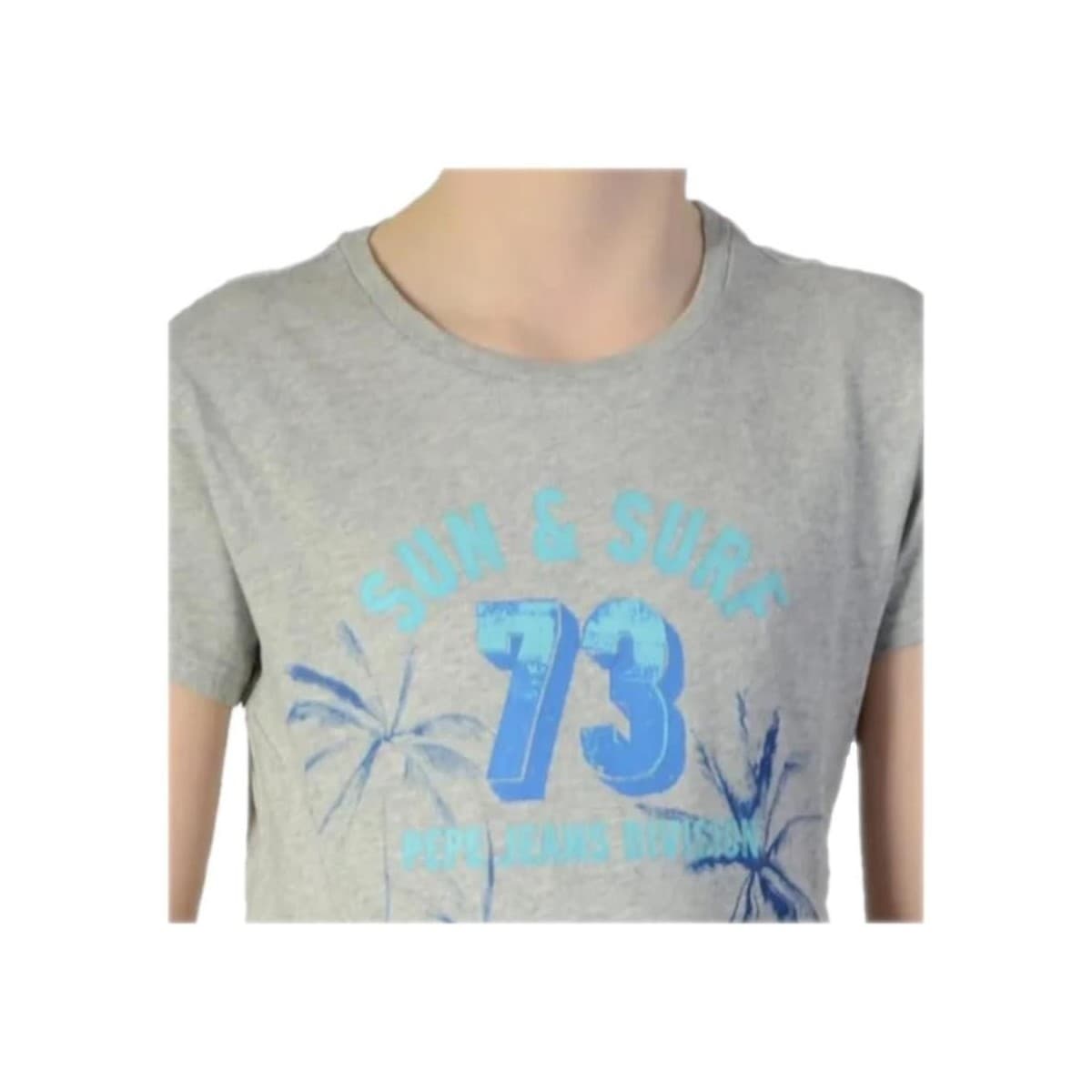 Boys' T-Shirts Pepe Jeans Gray