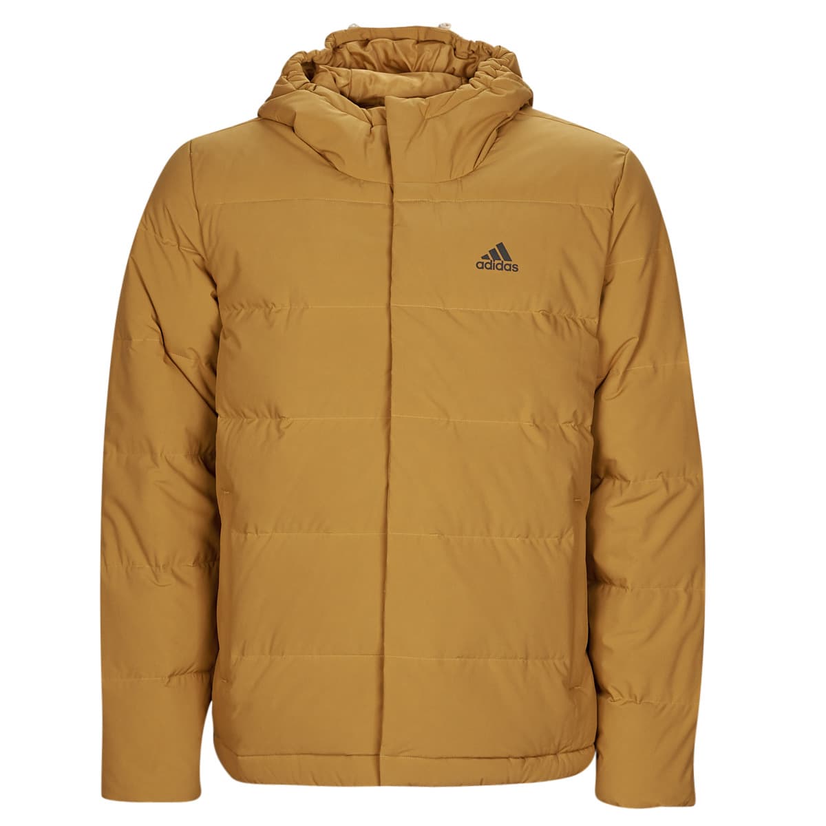 Men's Jackets adidas Yellow