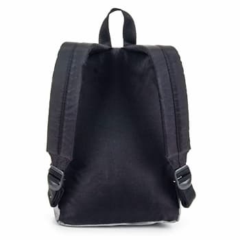 Men's Backpacks Eastpak Gray