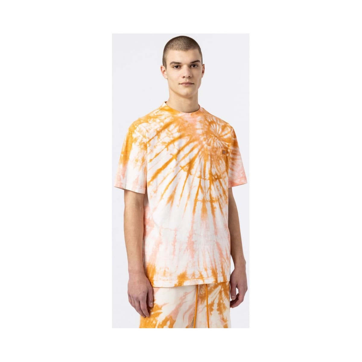 Men's T-Shirts Dickies Yellow