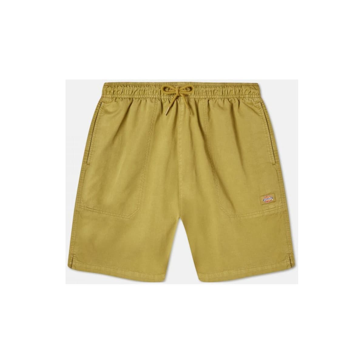 Shorts & Βερμούδες Dickies Pelican rapids