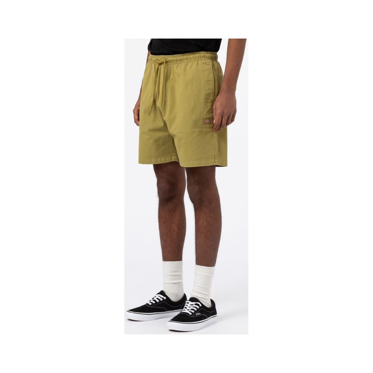 Men's Shorts Dickies Green