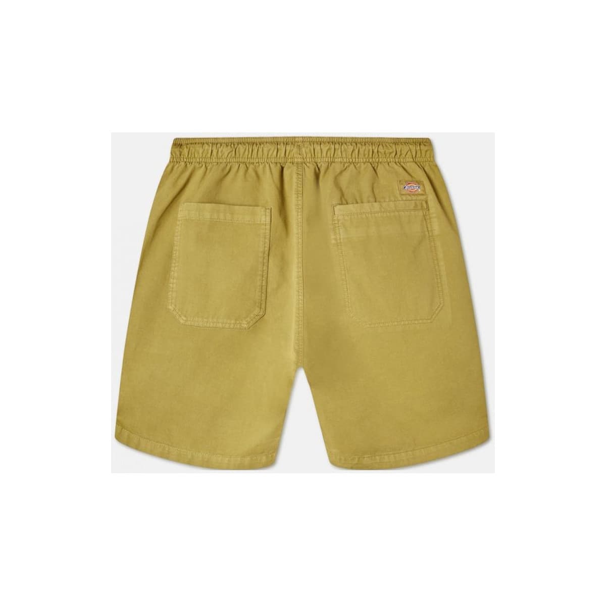 Men's Shorts Dickies Green
