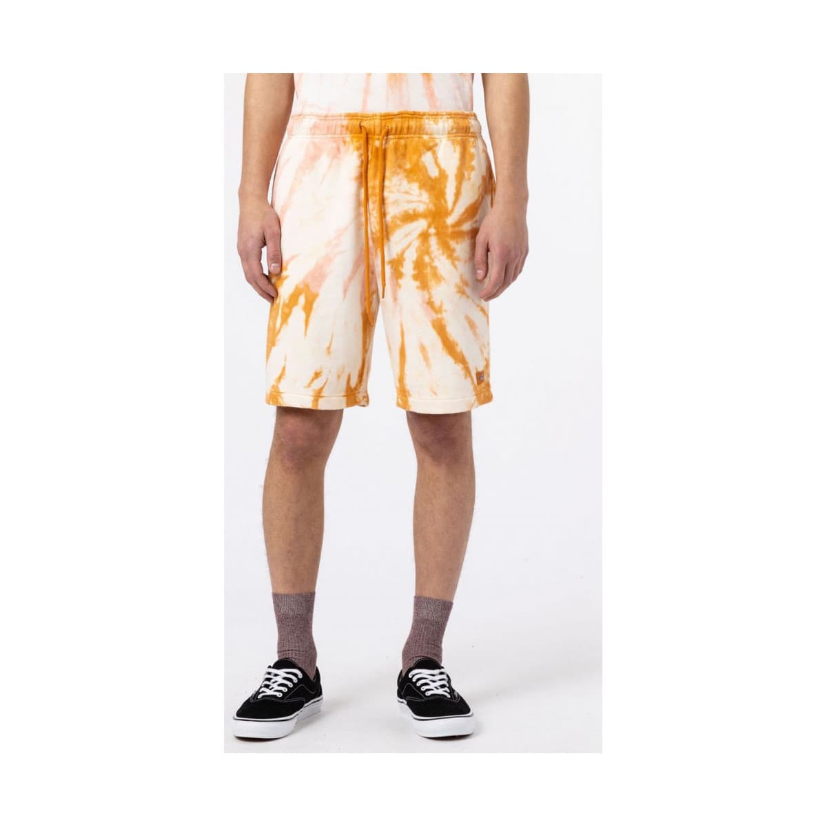 Shorts & Βερμούδες Dickies Seatac short